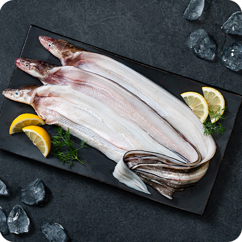 자연산 통영 손질 바다장어 1kg(1-3미) 소스2종 붕장어 아나고 : 널부마누라