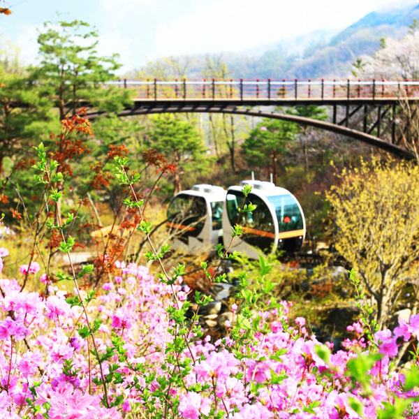 [경기] 광주 화담숲+여주 신륵사+ 명성황후 생가+용인 와우정사 당일여행 / 서울근교여행 / 서울경기出 : 파랑새투어