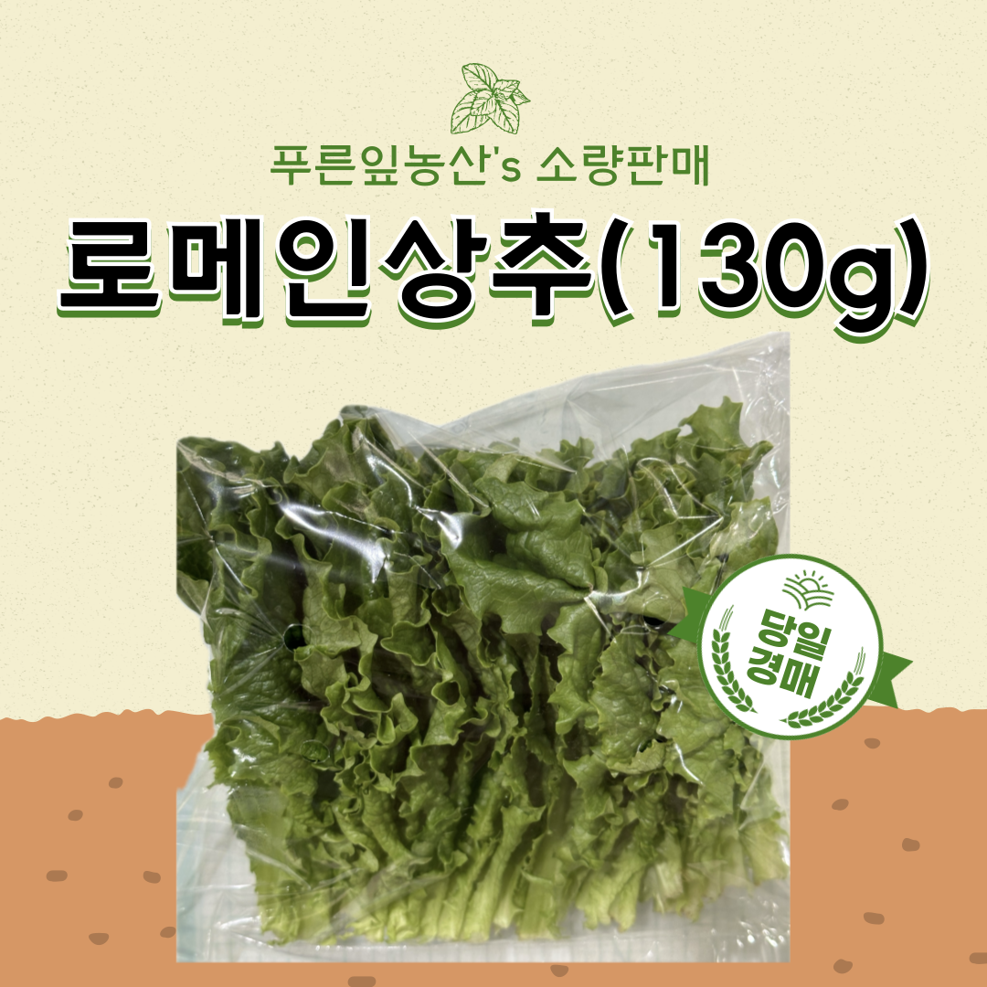 로메인 상추(130g) : 푸른잎농산