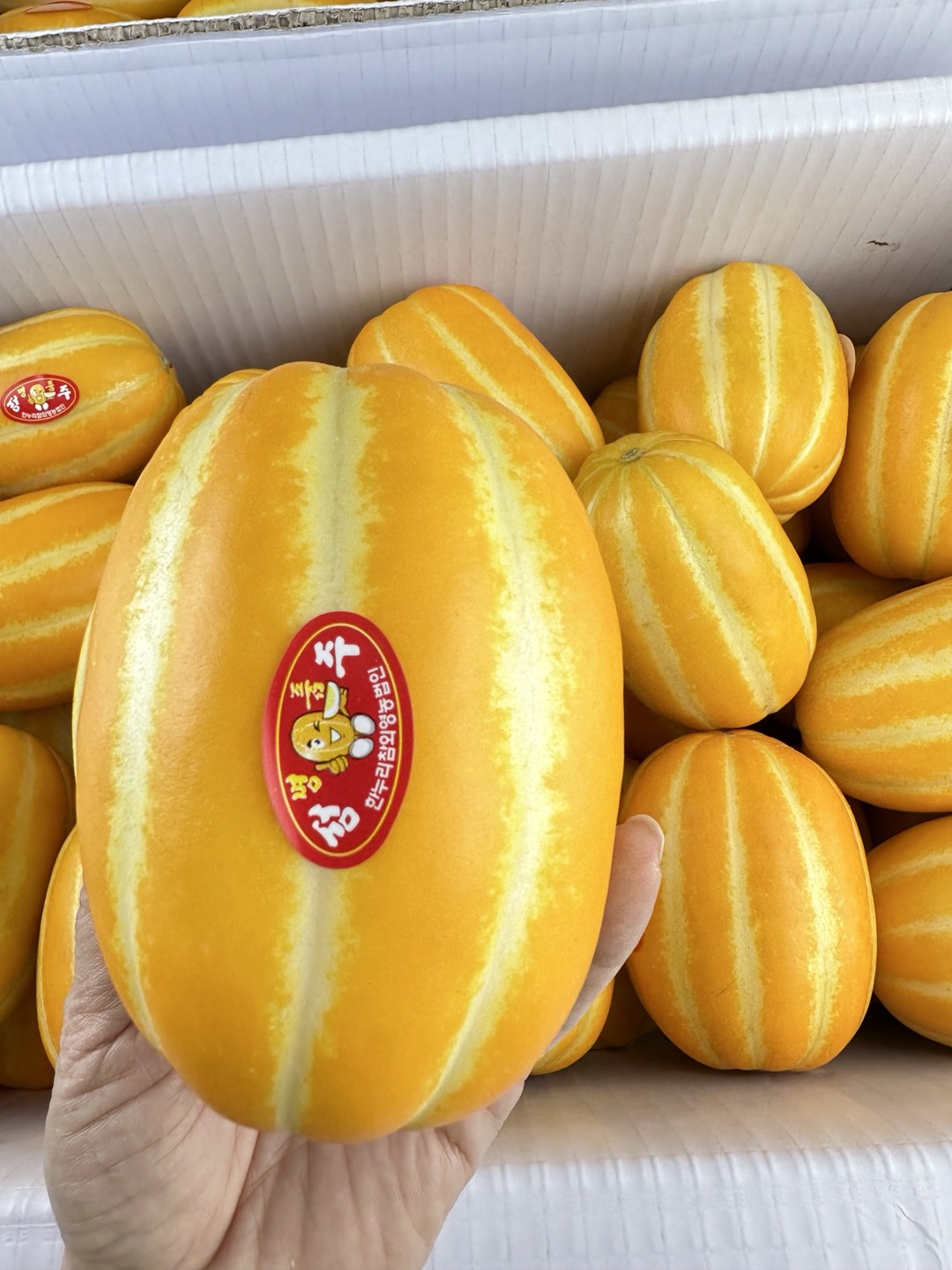 과일의맛,성주 참외, 가정용,못난이,산지직송, 아삭한 맛,못난이2kg(혼합과) : 시절맛농