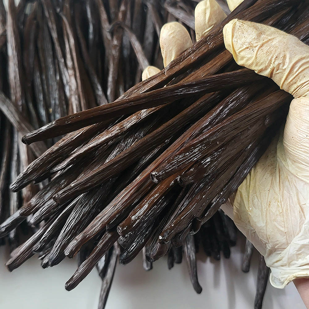라온 고메 마다가스카르 품종 바닐라빈 50g 인도네시아산 플라니폴리아버번 : 라온글로벌 바닐라빈