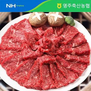 [영주한우 투플 특수부위 모둠] 토마호크 채끝 등심 안심 살치살 부채살 외 / 스테이크 캠핑 홈파티 구이용 소고기 : 영주한우몰