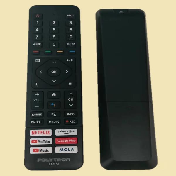 POLYTRON TV에  블루투스 음성 리모컨, ERF3F52, 81J172, : 신흥유통상사1001