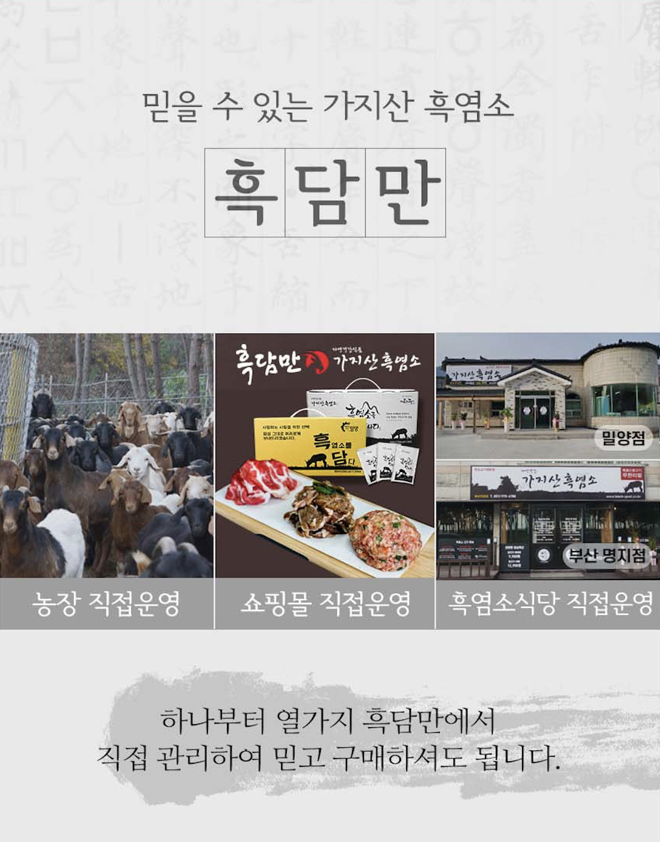 흑담만 프리미엄 흑염소 진액 즙 효능 흙염소 엑기스 염소 액기스 100ml 15개입 : 윤탄이