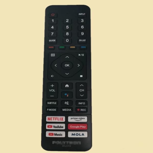 POLYTRON TV에  블루투스 음성 리모컨, ERF3F52, 81J172, : 신흥유통상사1001