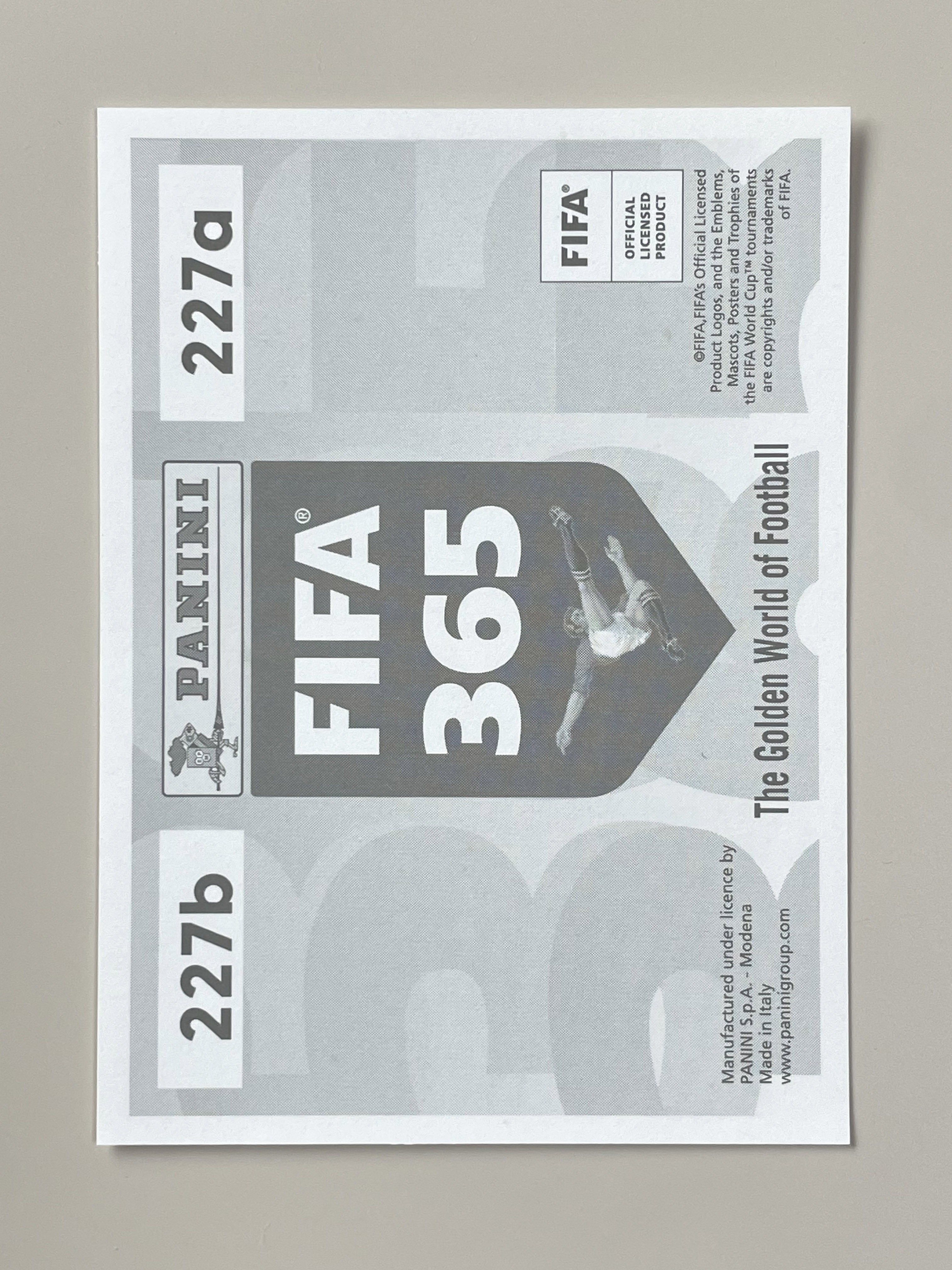23 Fifa365 #227 리오넬 메시 & 네이마르 : 플레어스포츠카드