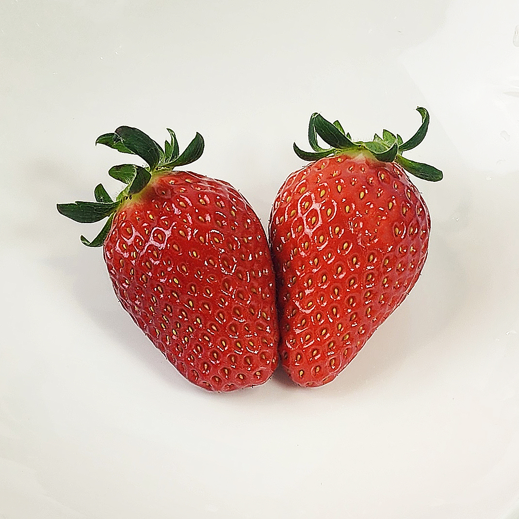 양구딸기 500g X 4팩 2kg 산지직송 금실딸기 : 양구사랑몰