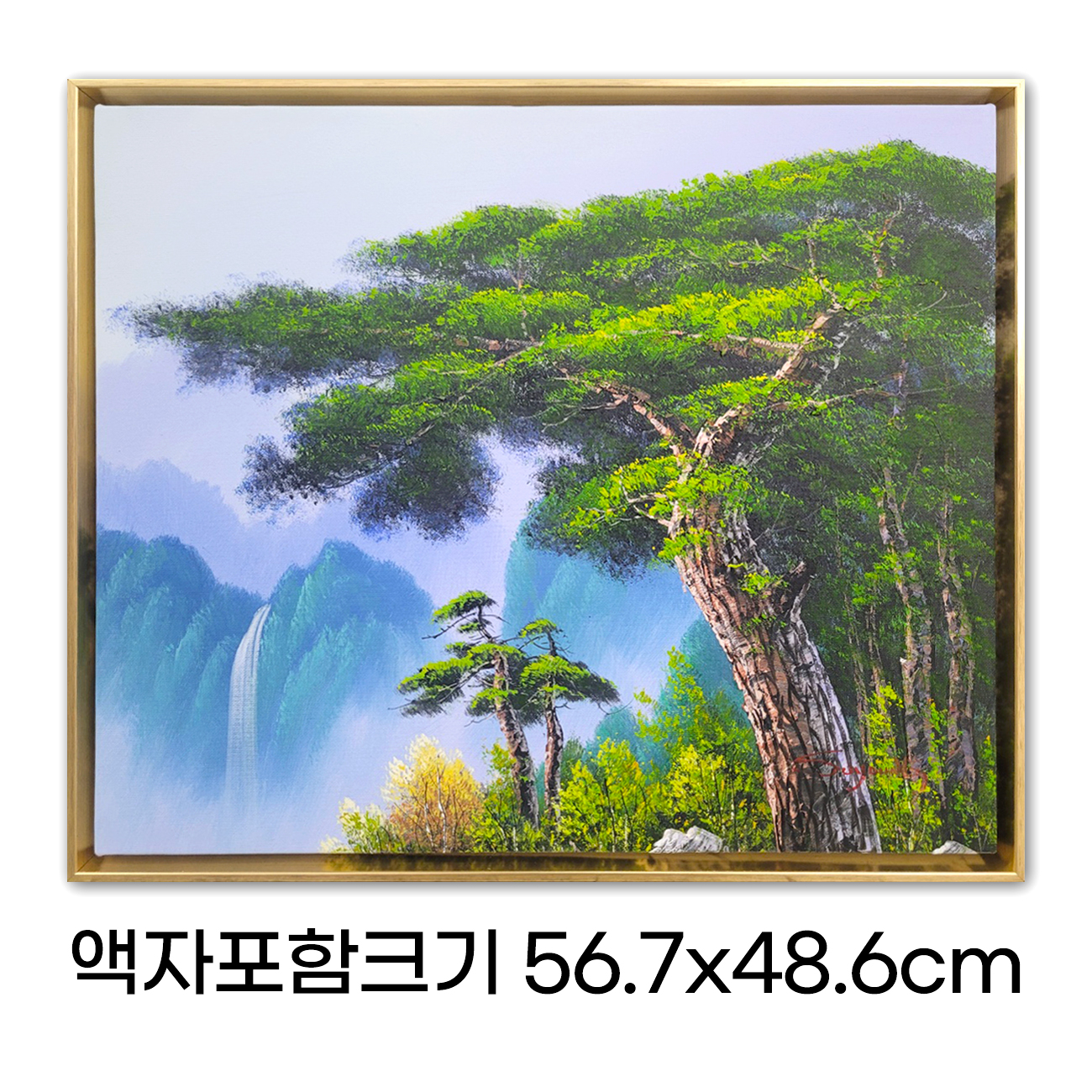 [진품] 장수하는 소나무 그림 유화 수채화 액자 장수영 화백 풍경화 고급 액자 거실 인테리어 장수영 소나무풍경[56.7x48.6cm] : 인메이블