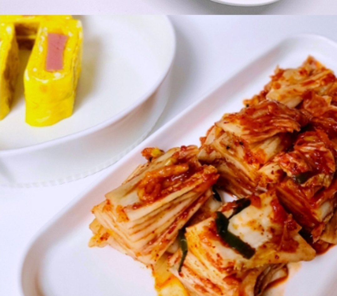 태백 고냉지 생 포기 배추 김장 김치 10kg 태백골 태백산 샬롬 김치 : 샬롬맛있는김치