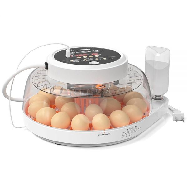 EVERYGROW 22 Egg Incubator for Hatching Eggs with Humidity Display Automatic Turner and Candle Teste : 제이앤비컴퍼니1