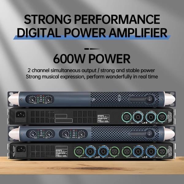 전문가용 파워 앰프 600W 2 극장 무대 공연 결혼식 회의 엔지니어링 디지털 오디오 스피커용 HIFI 01 2 channels : 판다홀릭몰