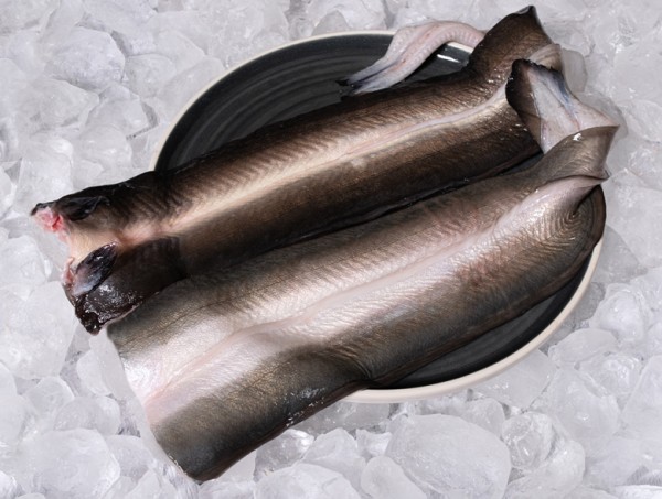 민물장어1kg 1-2미 / 손질 후 650g내외 / 자포니카 : 태민수산