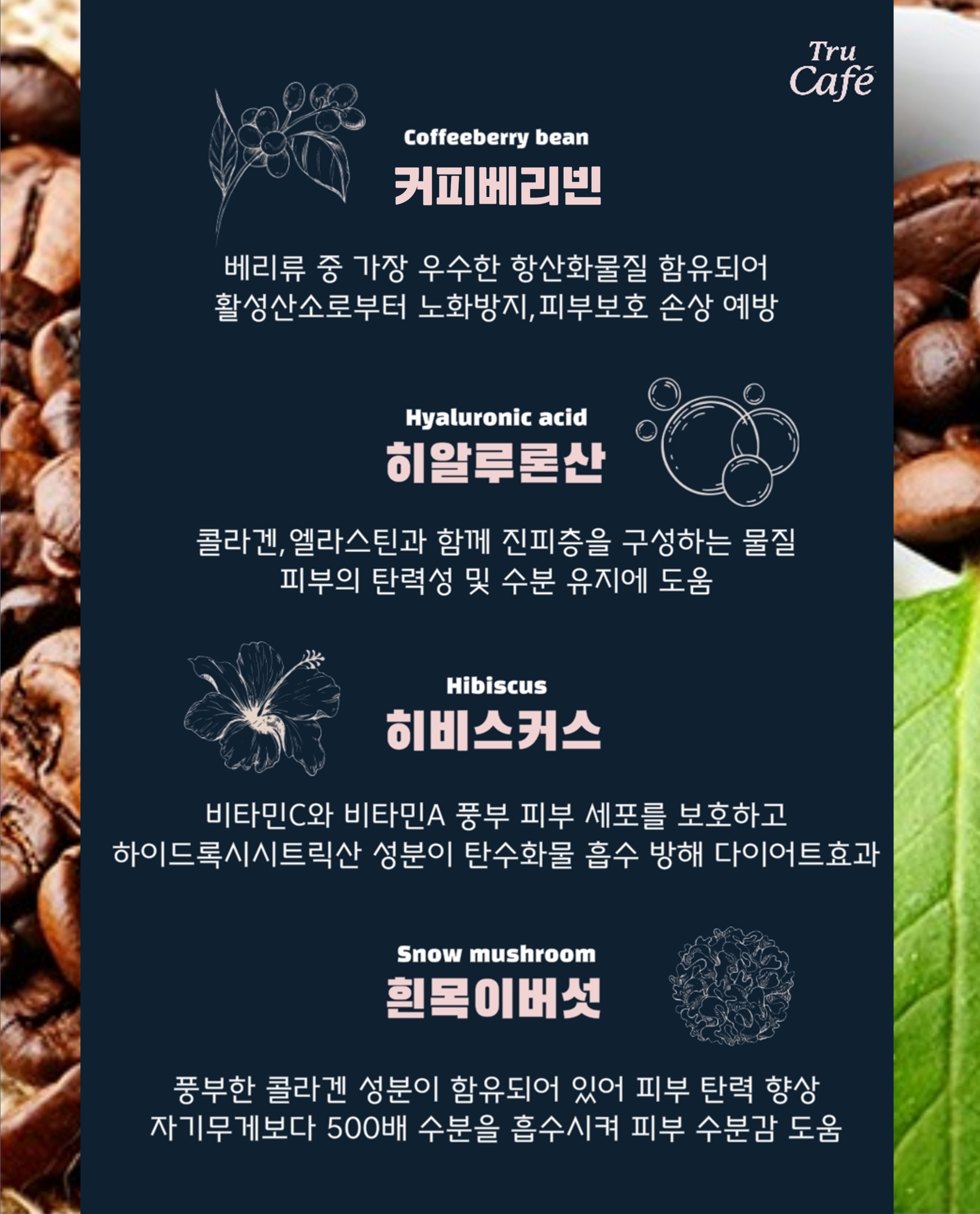 트루카페 : metamaket88