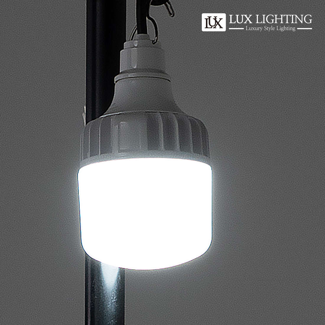 LED 일체형 가설등 작업등 현장조명 가설조명 30W, 주광색, 1개 : 럭스라이팅