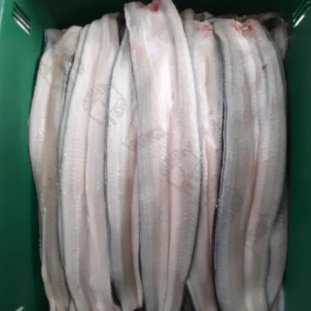 칠전몰 민물장어 1kg 자포니카장어 장어택배 : 칠전스토어