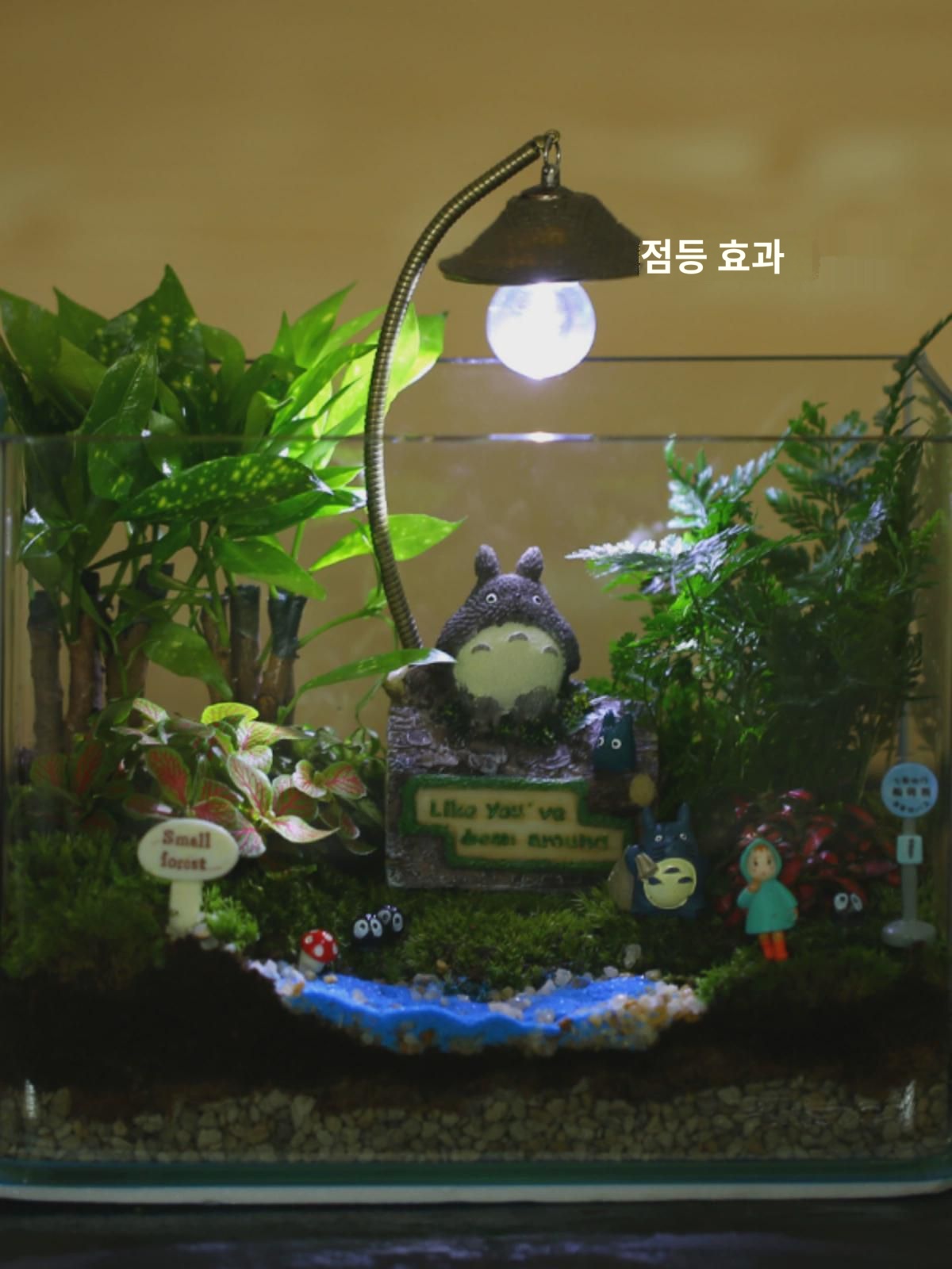 이끼 미세경관 테이블 상판 녹식생태항아리 새해 식물 완제품 추석 생태선물 소녹식생태병 : 키로이드