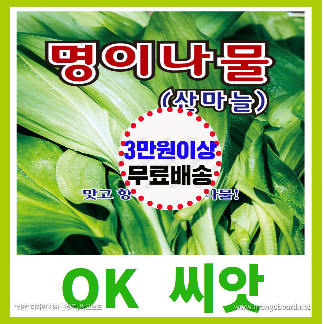 OK씨앗 [[명이] 산마늘(50립)] 명이나물씨앗, 명이씨앗, 산마늘, 산마늘씨앗, 종묘, 모종, 씨앗, 종자, 채소씨앗 : OK씨앗