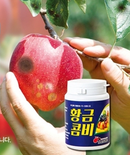 삼지짱1리터 황금콤비250g 사과탄저병 비료 고추 오이 병 예방 농사 복합 흰가루병 : 베러 엔