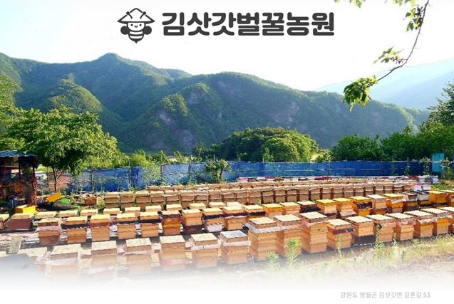 김삿갓벌꿀농원 천연꿀 : 김삿갓양봉원