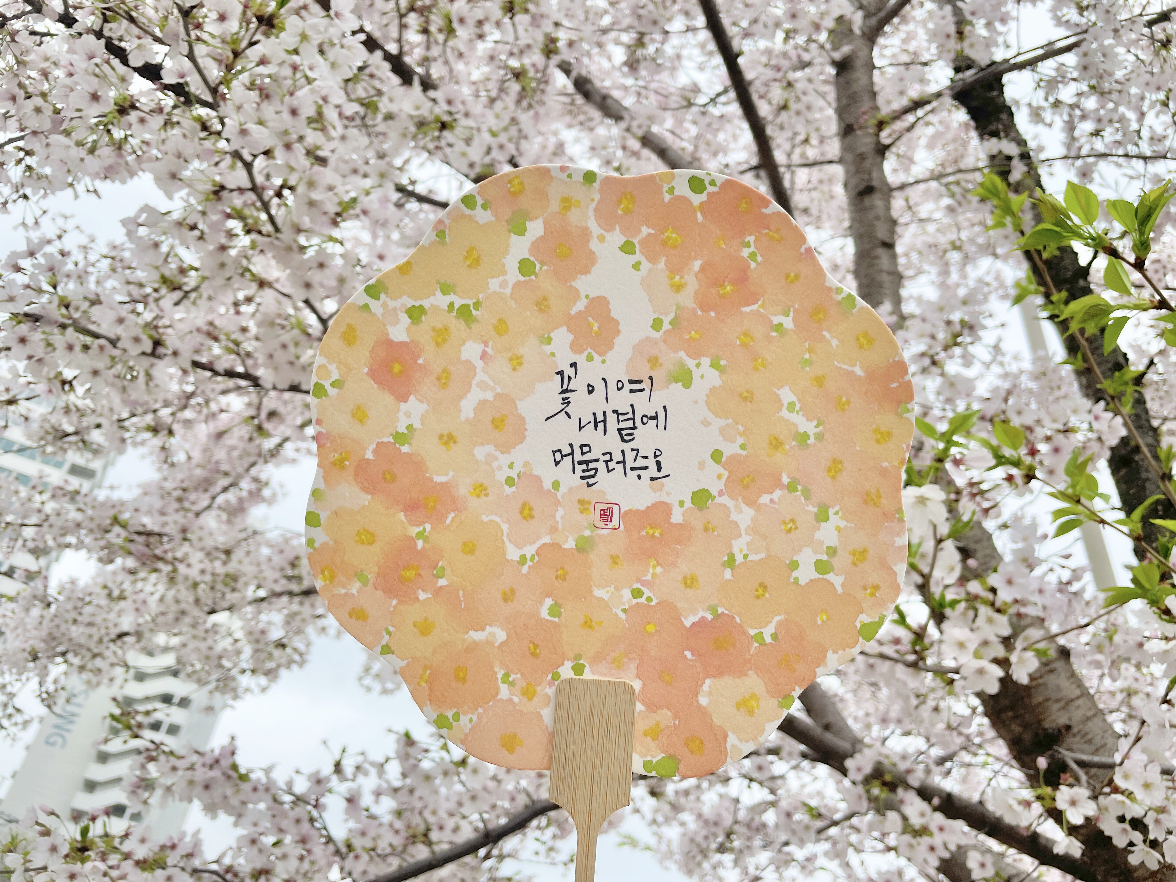 수제 꽃부채 캘리그라피 수묵담채화 나날디자인 : 나날디자인