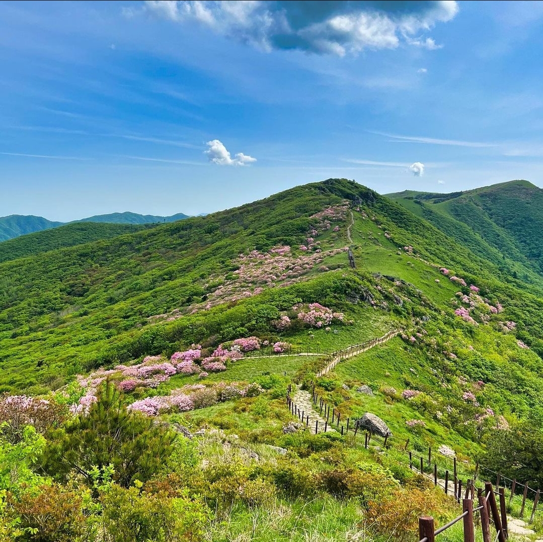 소백산 종주 5월31일(토) : 산봉우리