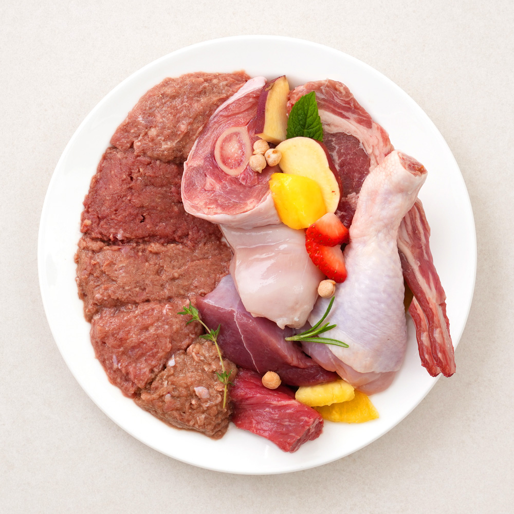 포옹 강아지 생식 반려견 자연식 수제 사료 밥 생식선생 1kg : 포옹-건강한 펫푸드의 시작