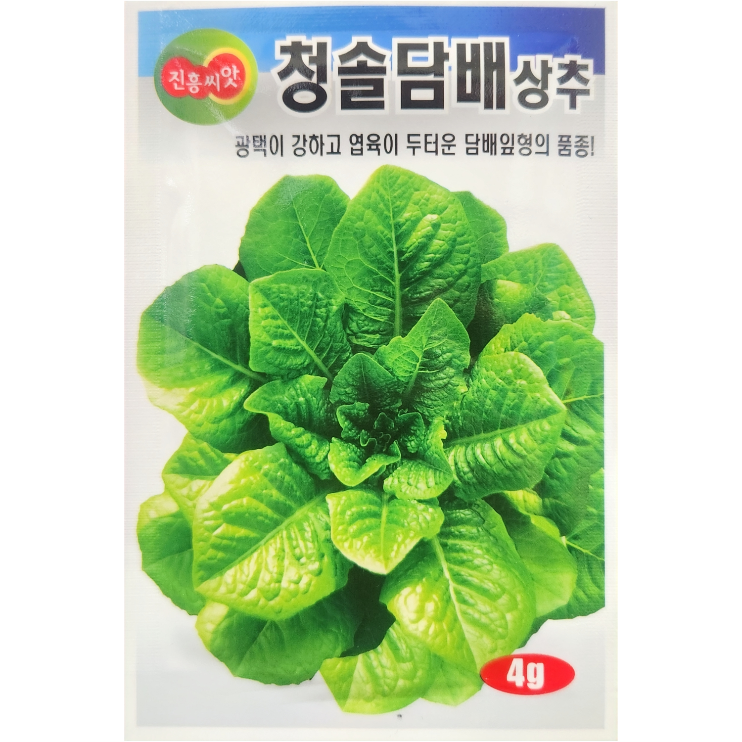 청솔담배상추 4g 담배상추 상추씨 진흥종묘 : 황소농약농자재