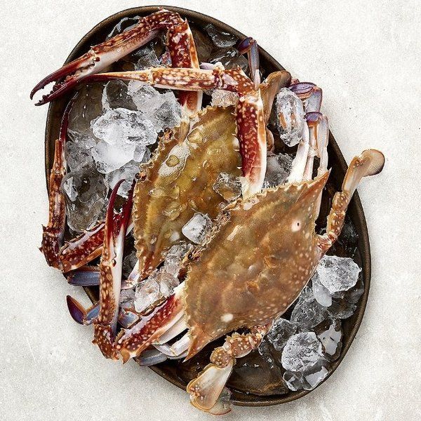 오늘의바다 서해안 손질꽃게 300g(5~8쪽) x 4팩 -인증 : 하늘집