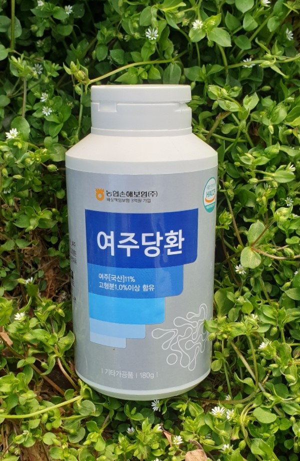 정인바이오 여주당환 여주환 180g : 제이에스글로벌 유통
