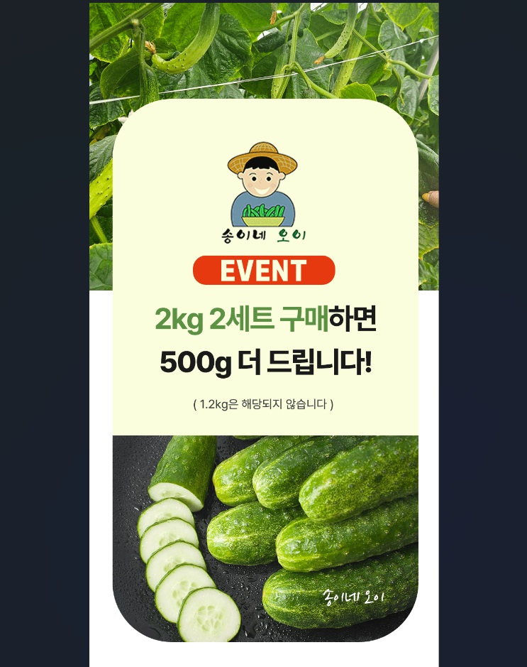 송이네 오이 백다다기 특 1.2kg 2kg 3kg 당일수확 당일배송 : 송이네오이