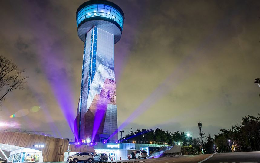 울산택시투어 울산 자유여행 프라이빗 단독투어 : 돌고래여행사-돌핀스토어