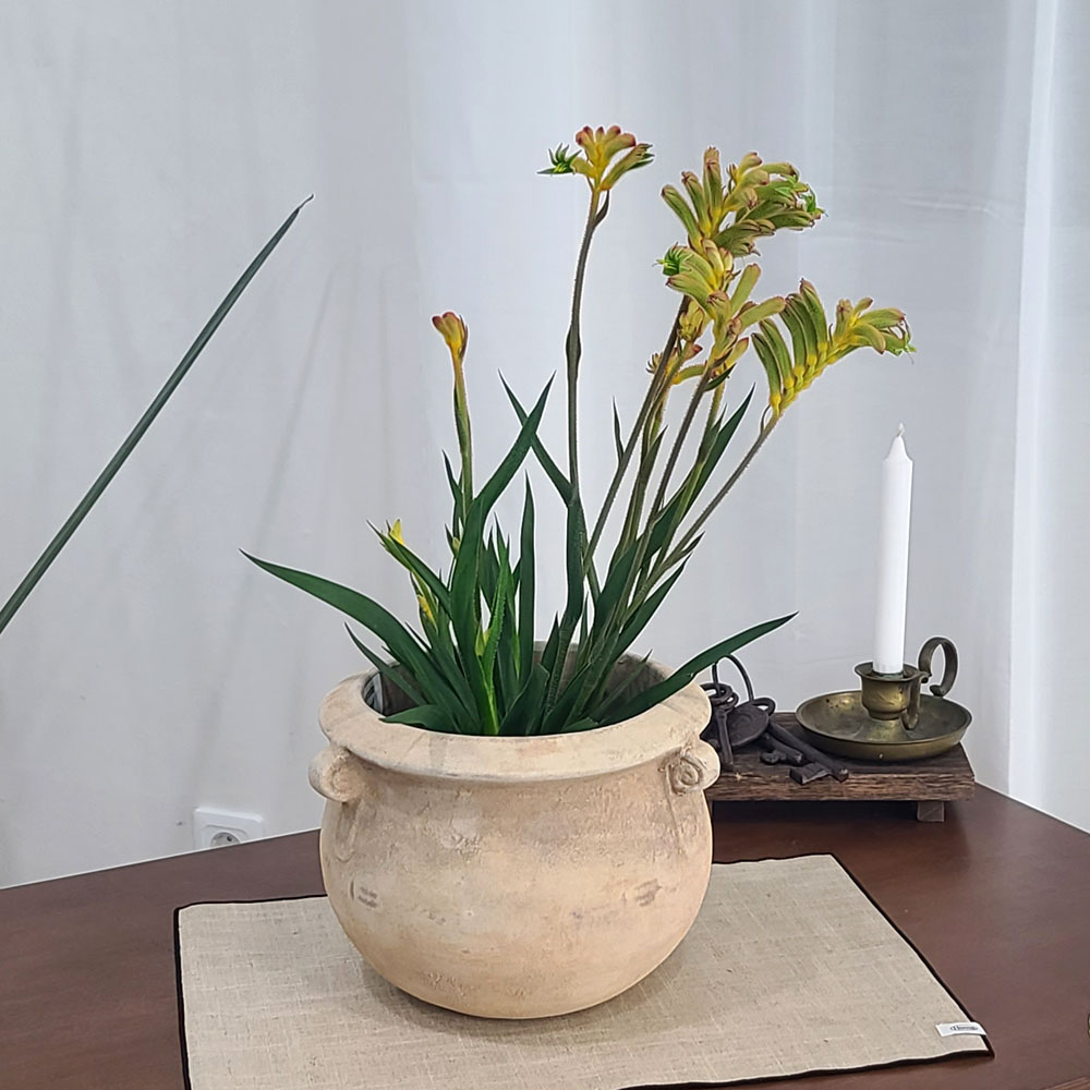 테라원 빈티지 아쿠아 토분 HN30404 18x19cm 고리단지 : 베스트 하우스