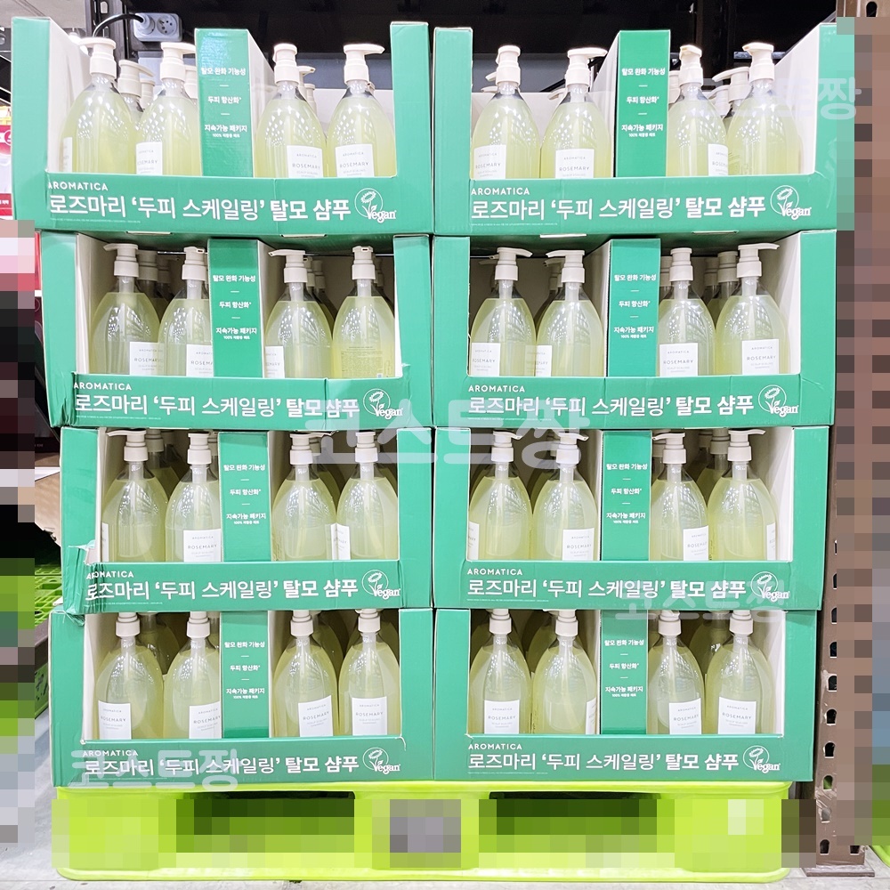 아로마티카 스칼프 샴푸 1000ML 대용량 로즈마리 스케일링 탈모 천연샴푸 : 코스트짱
