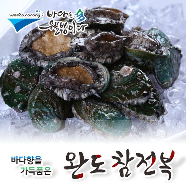 일반형가성비최고 완도사랑 청정활전복x참전복(18~20미)1kg_국내산(양식) -인증 : 시안아트웍스