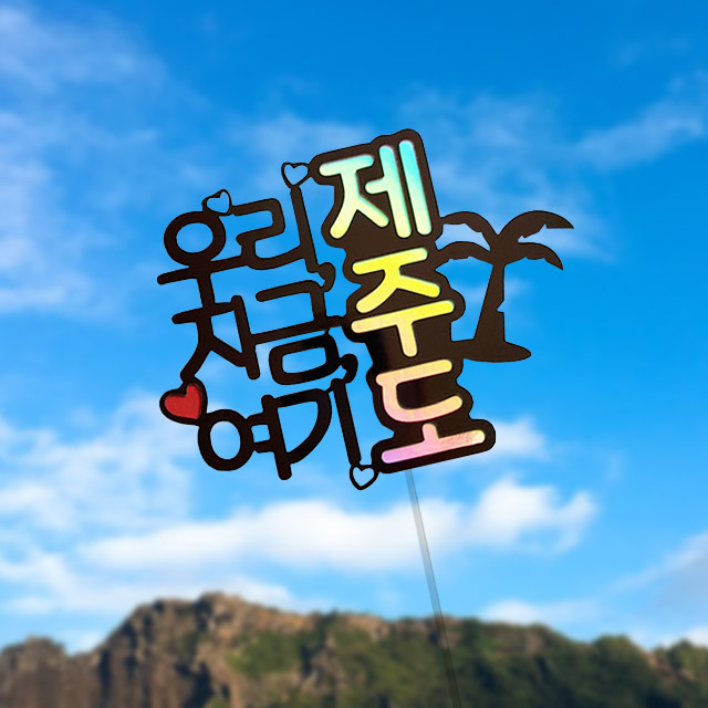우리지금여기 제주도 야자수 여행토퍼 사진촬영소품 : 더원픽토퍼