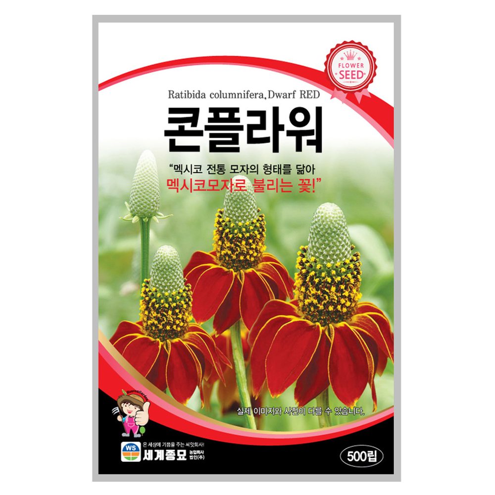 콘플라워 500립 예쁜 꽃씨 씨앗 종자 꽃밭 화단 가꾸기 : 농사연구소