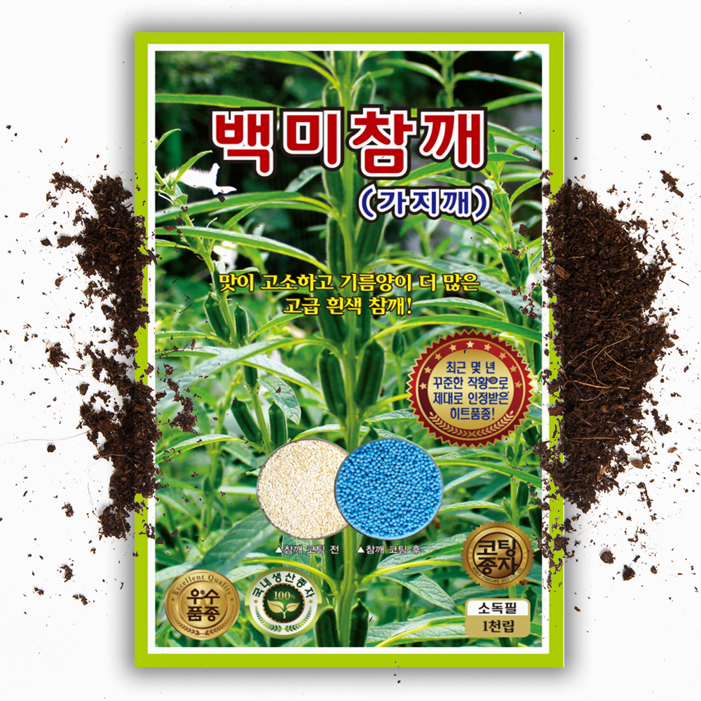 가지깨 백미 참깨씨앗 1000립 코팅종자 고소하고 기름양이 많음 : 씨앗팜