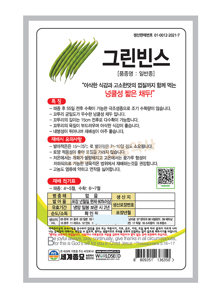 그린빈스 30립 그린빈 넝쿨 채두 콩 종자 씨앗 세계종묘 그린종묘농약사 : 허수아비정원
