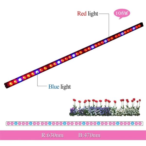 LED 성장 바 라이트, IP65 108W 스트립 램프, 레드 블루 채소 꽃 무대, 온실 식물 : 천월종합유통