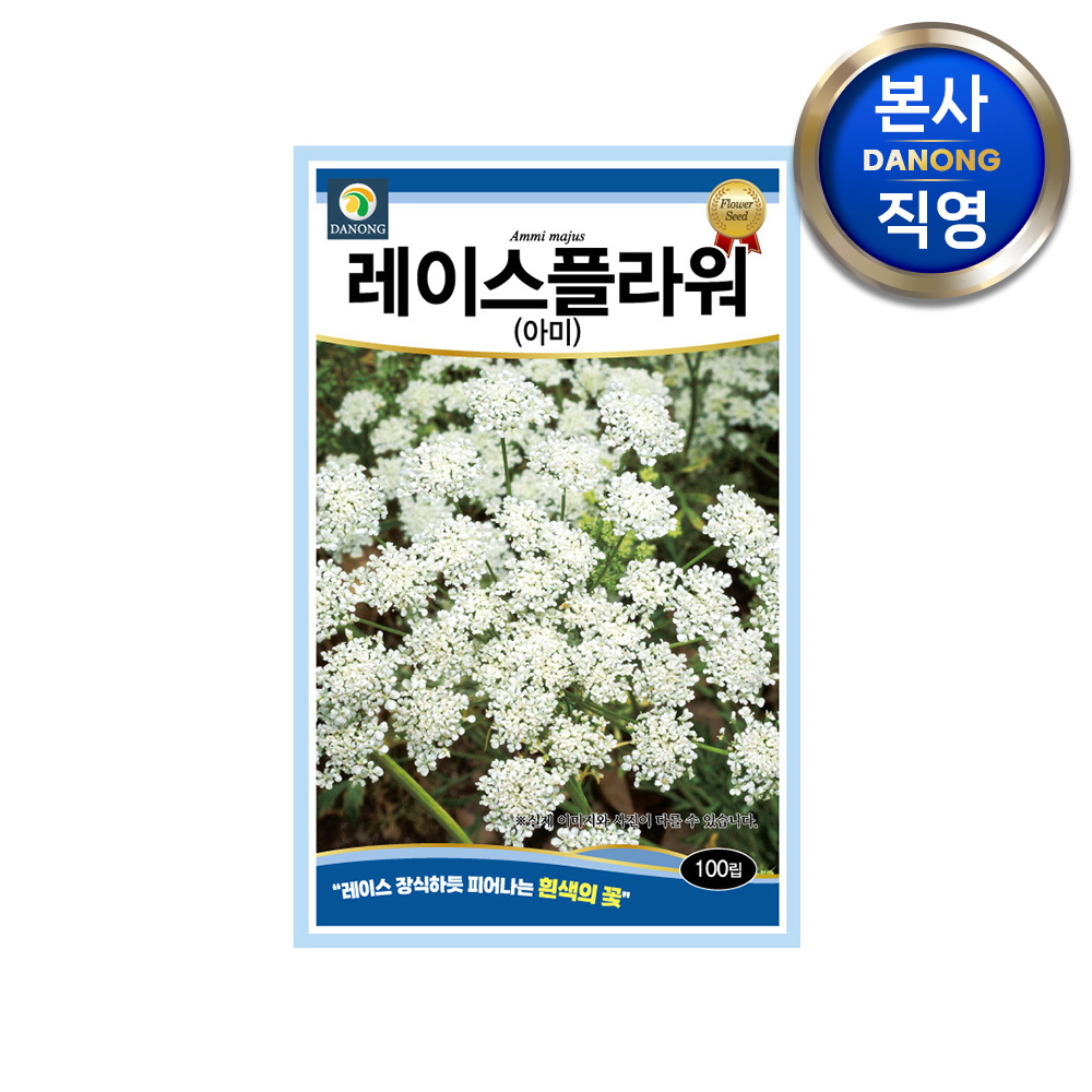레이스 플라워 아미 씨앗 100립 아미초 흰색 하얀 꽃 봄 가을 파종 꽃씨 종자 : 다농원예가든