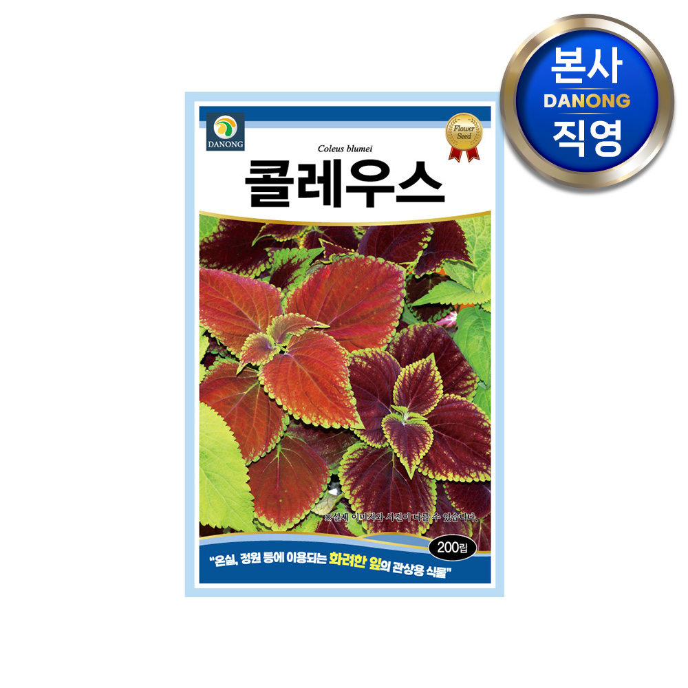 콜레우스 씨앗 200립 관상용 온실 정원 식물 키우기 조경 화단 꽃 꽃씨 종자 : 다농원예가든