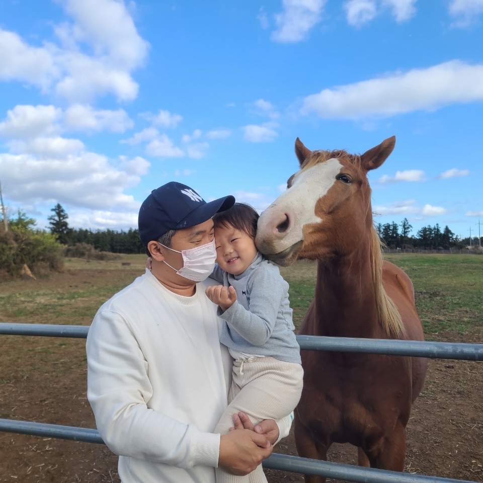 제주도패키지여행 2박3일 버스투어 단체여행 효도 관광 워크숍 홈쇼핑 미니버스 전세버스대절 : 제주1번가여행사