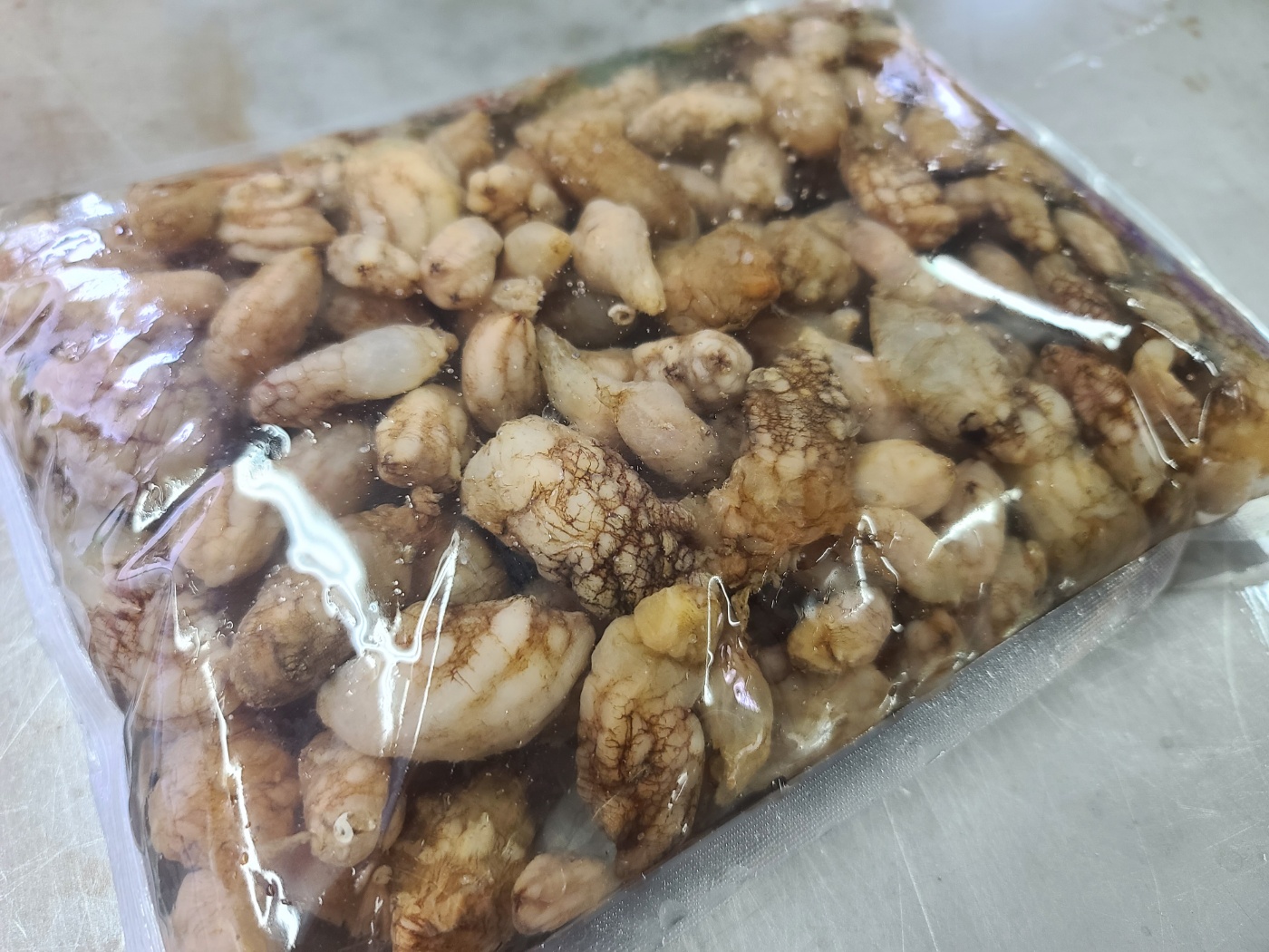 돌고래수산 생물 오만둥이 미더덕 참미더덕 미더덕회 500g 1kg : 통영돌고래수산