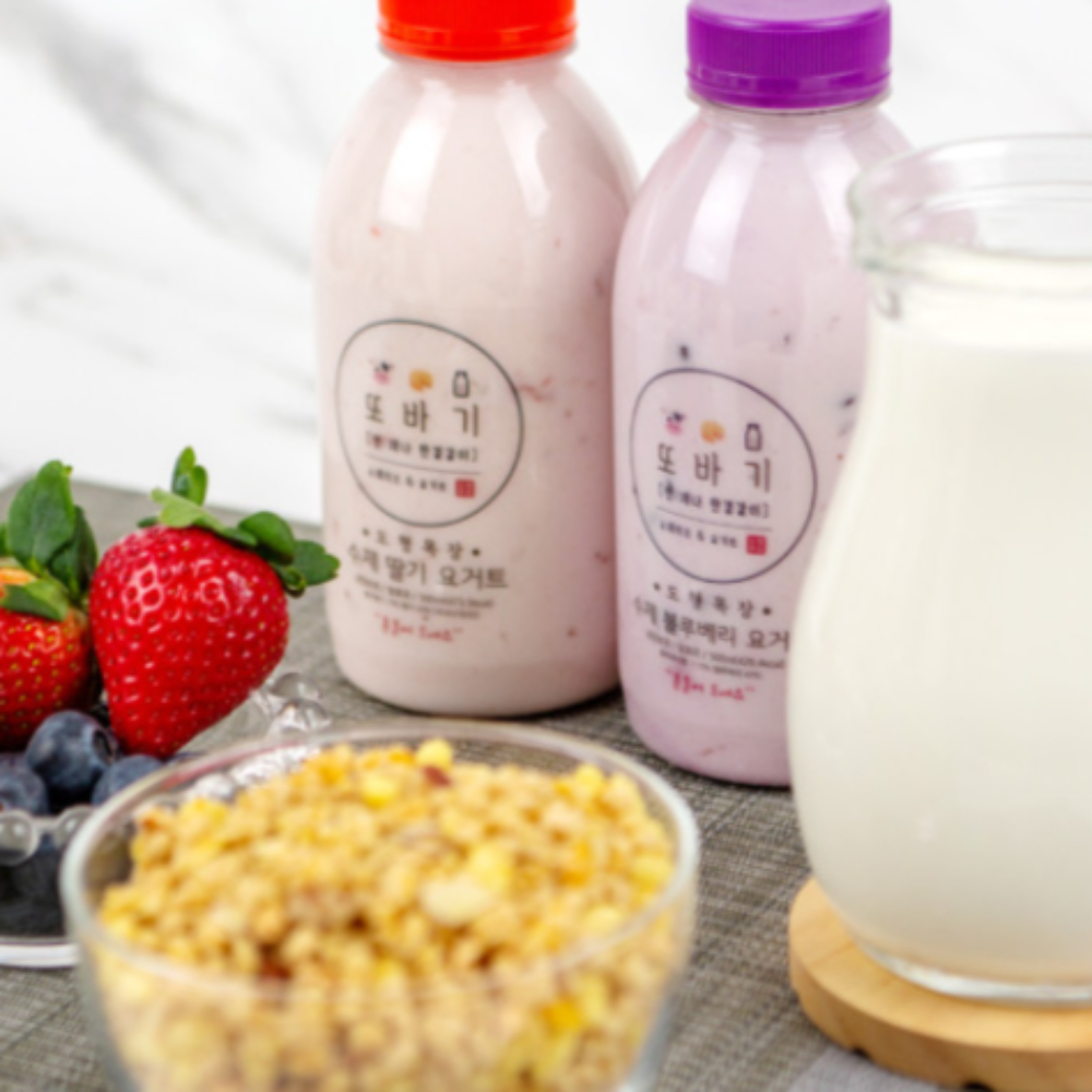 또바기 수제 요거트 플레인 500ml 직접 짜서 만든 요플레 : 더블유와이제이