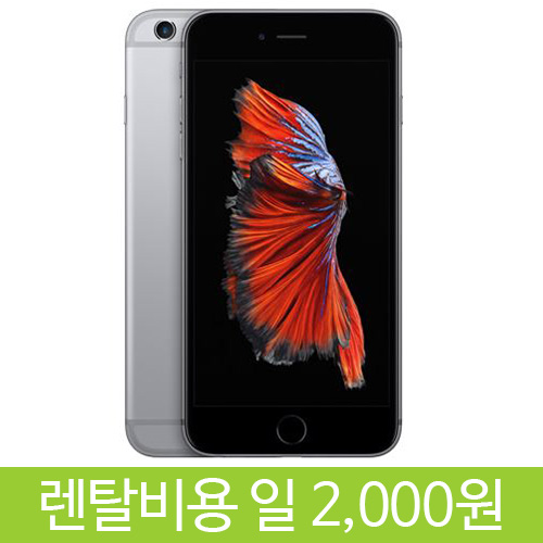 [모바일단말기대여]iPhone6플러스 : 디셈버컬러