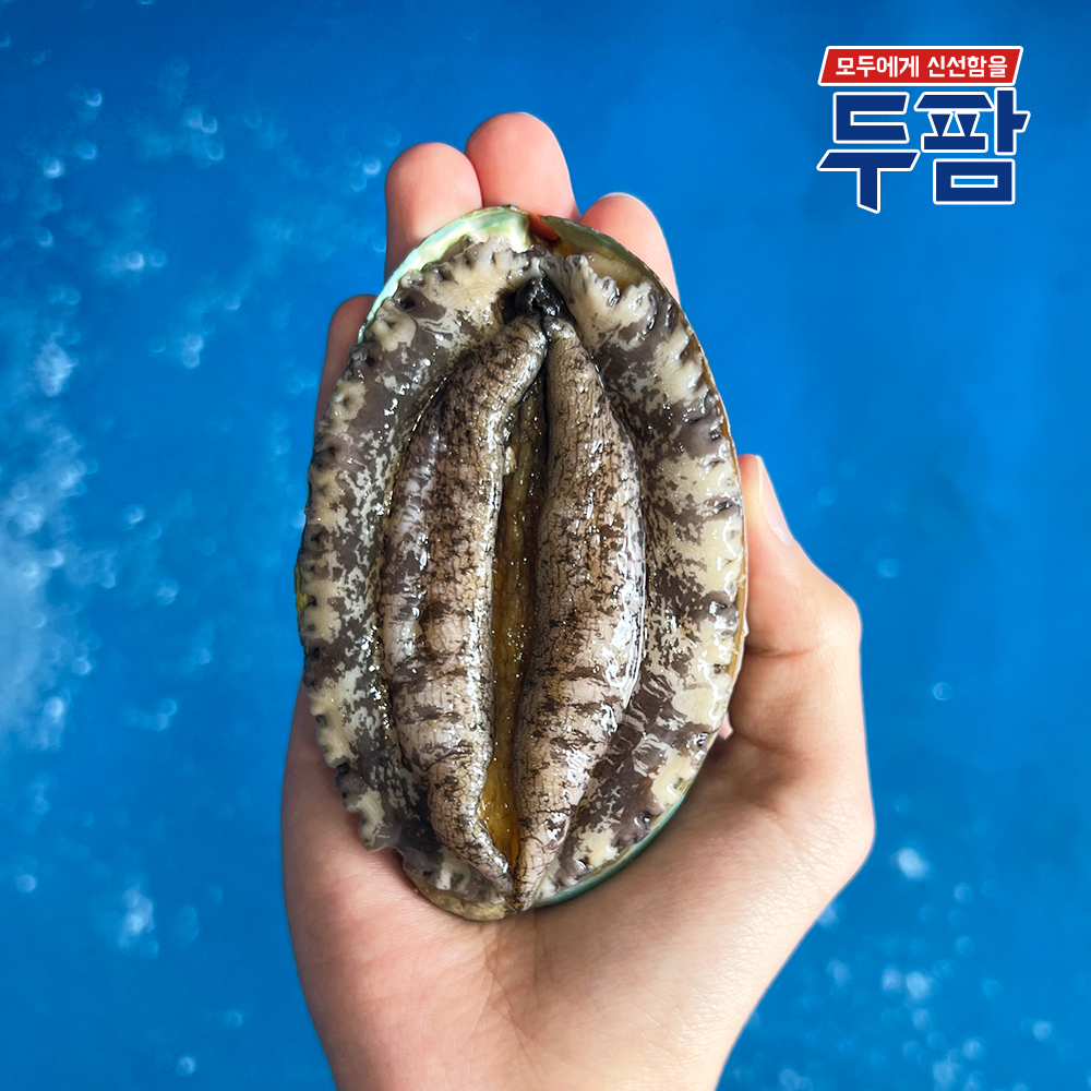 살아가는 완도 전복 1kg 특대 부터 소 전복 선물포장 : 두팜