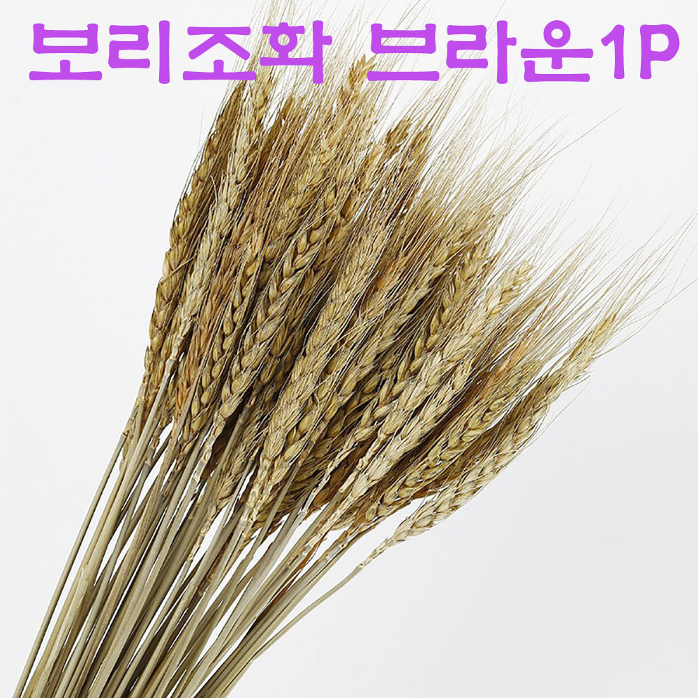 보리 조화 모형 인테리어 꾸미기 장식 브라운1P : 스타스니커즈