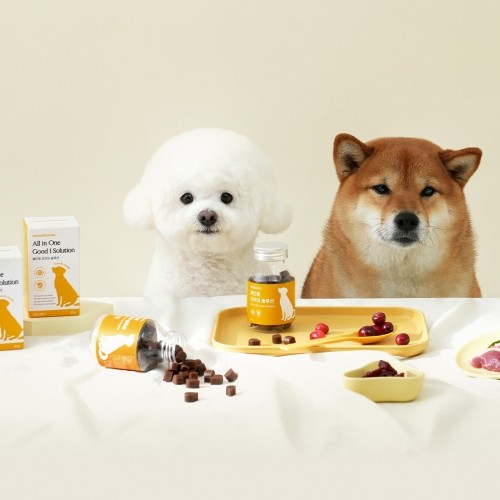 강아지 모모하우스 굿아이 솔루션 85g 결막염 백내장 염증 눈물자국 눈 건강 트릿 영양제 : 반약