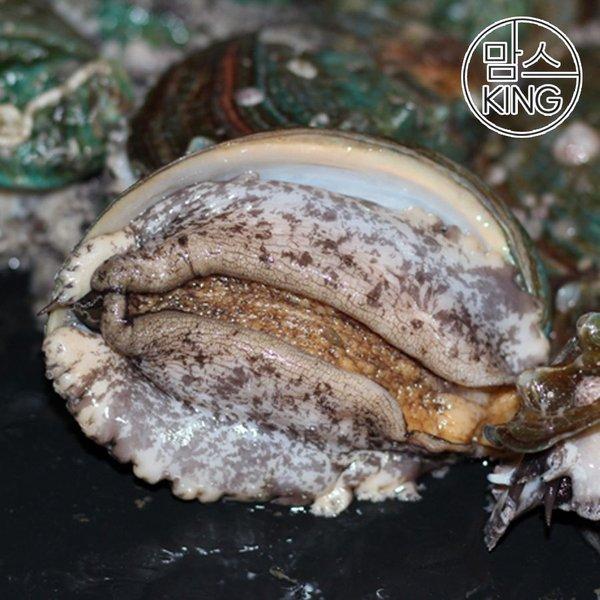 [갤러리아] [맘스킹][대운수산] 완도 참전복 2kg(22-24미)산소포장 현지직송 : 갤러리아백화점