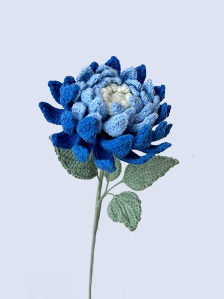 Dahlia 달리아, 11월 탄생화 코바늘 뜨개 꽃 국화 완제품 선물 한송이 : 플로셰